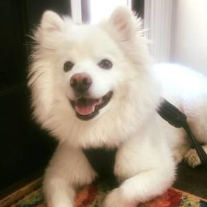 Meet your Posher, Lulu